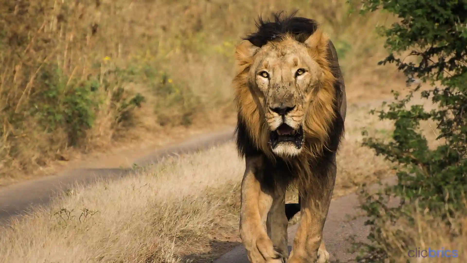 total national park in India